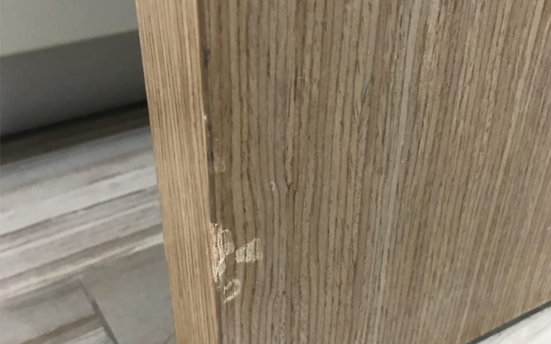 Repair Door At Jurong Lake Link